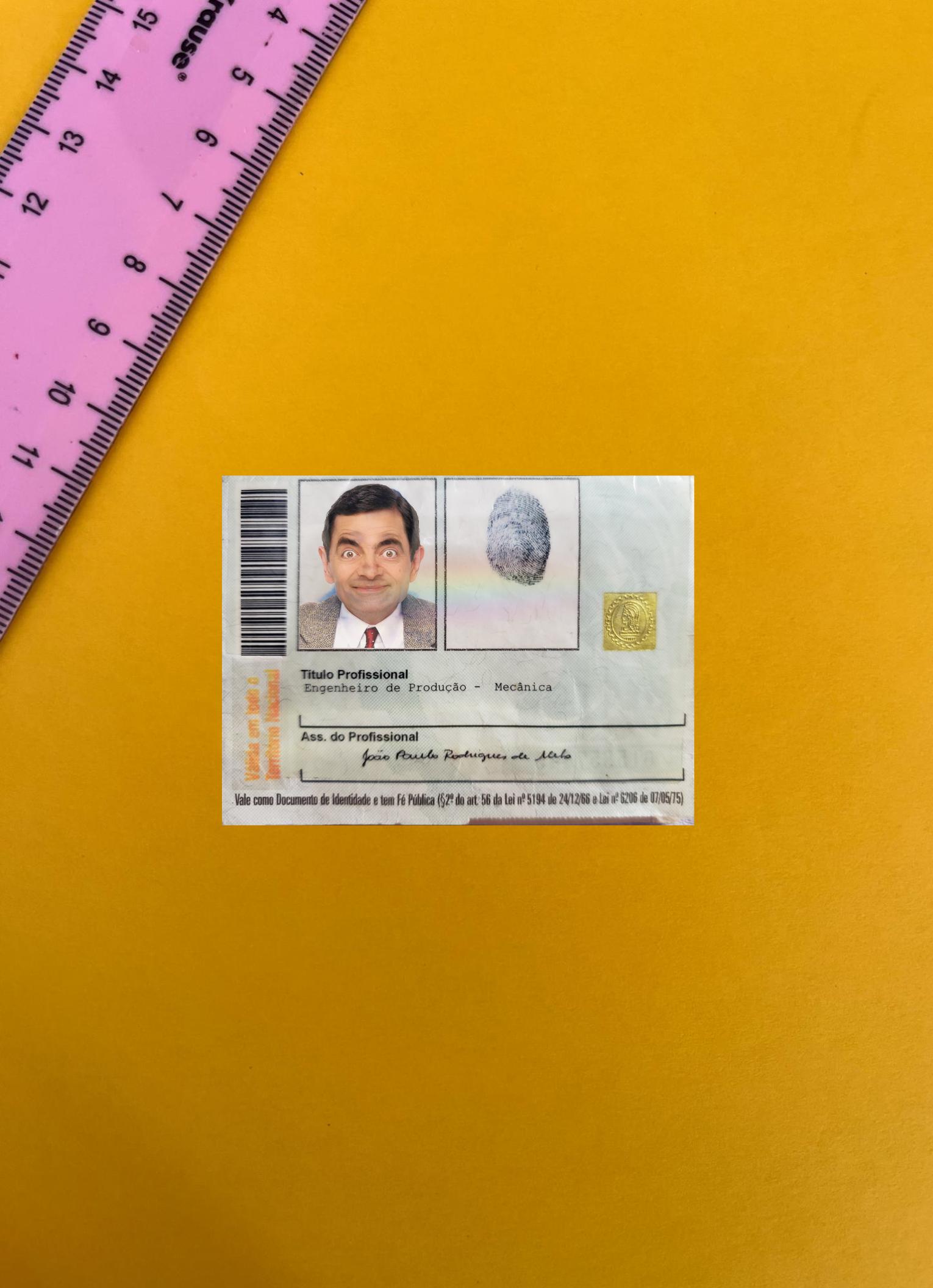 Printable Brazil professional identity card photolook example